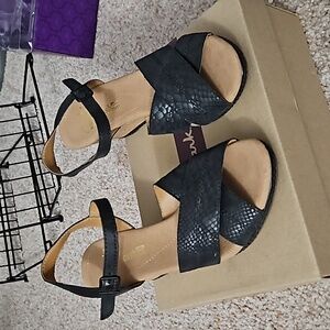 Clarks Wedge